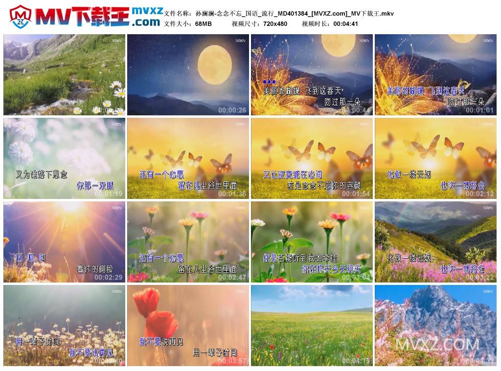 孙澜澜-念念不忘_国语_流行_MD401384